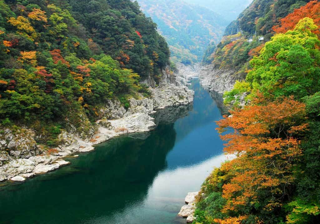 【冬期限定】寒い冬には鍋が一番！徳島の隠れた名産「阿波すだち鶏」鍋コース