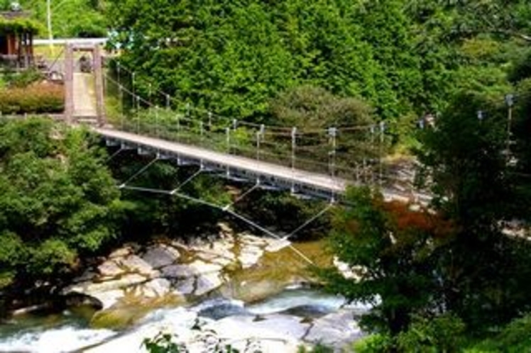 夏鮎もどし吊り橋