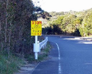 やまねこ看板