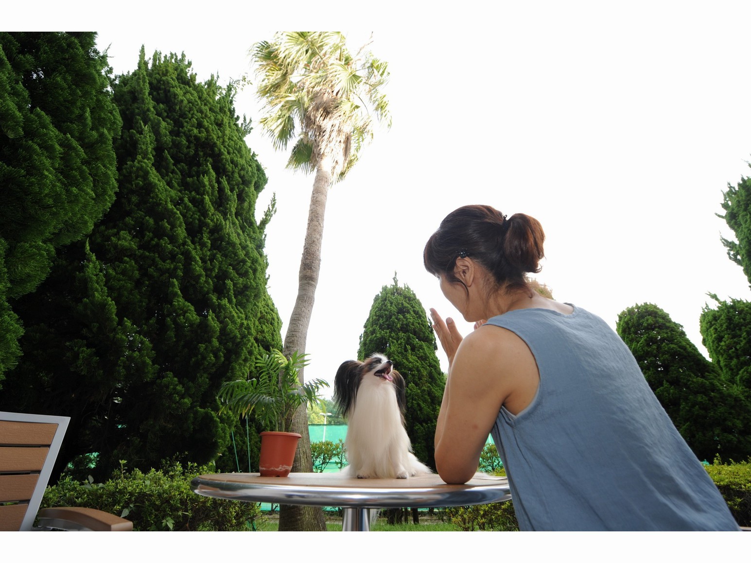 ≪ペットルーム☆素泊まり≫わんちゃんと一緒に旅を♪1日1組限定・徒歩3分ビーチでのお散歩も◎