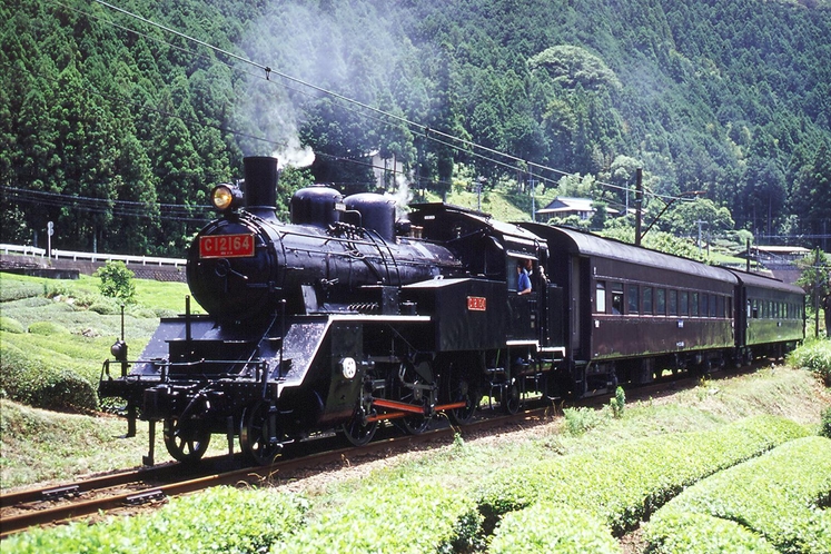 大井川鉄道ＳＬ