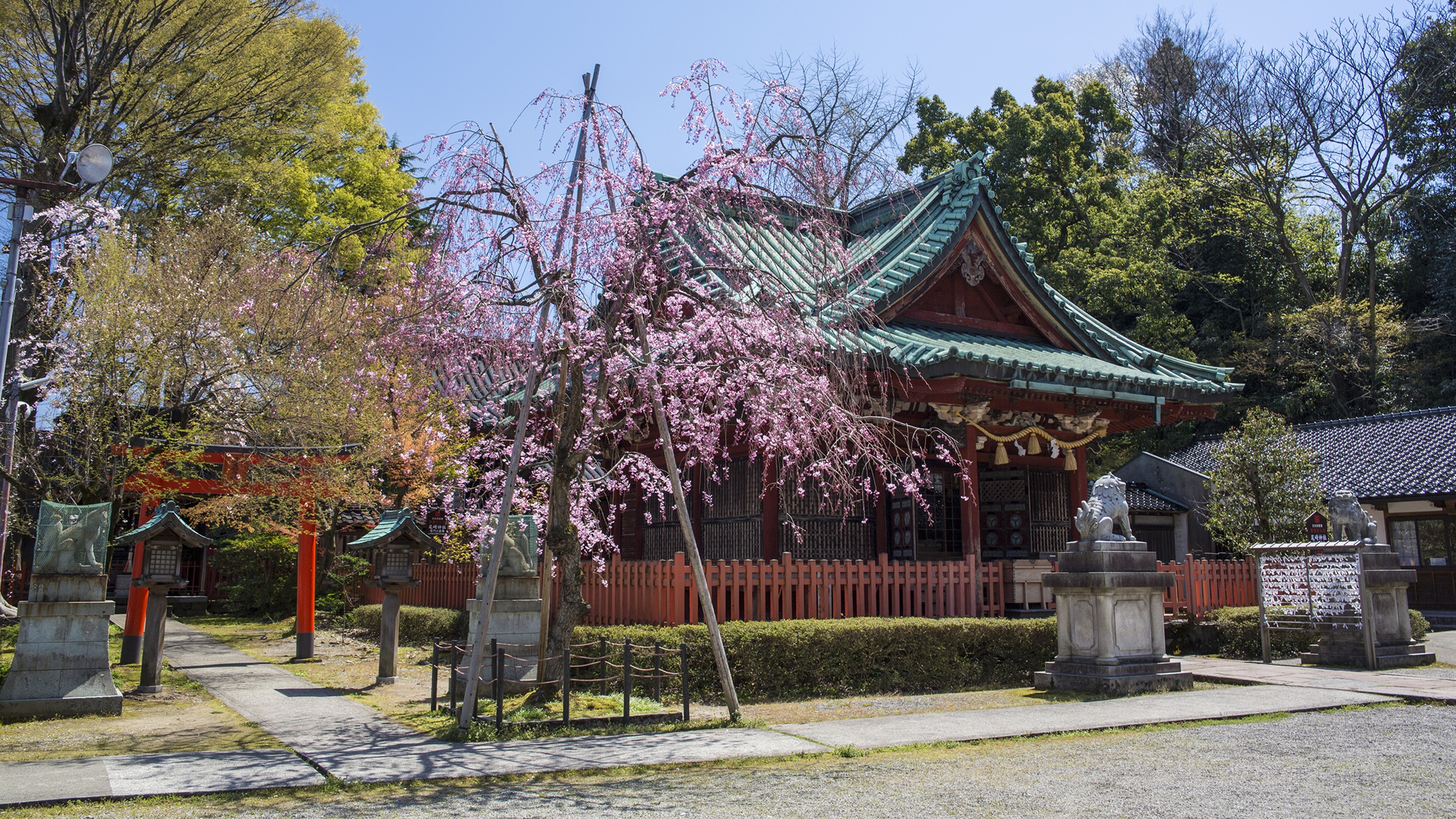 尾﨑神社（写真提供：金沢市）