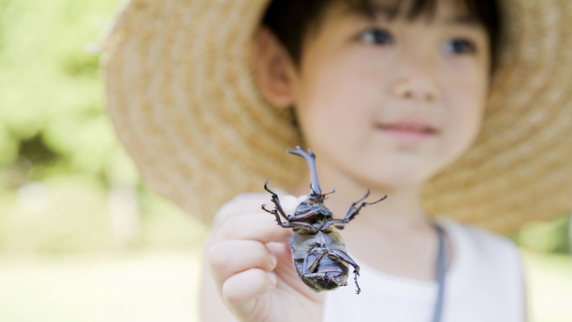 【夏休み！昆虫好きさん集まれ〜！】＼カブトムシ or クワガタプレゼント！／【ご夕食はバイキング♪】