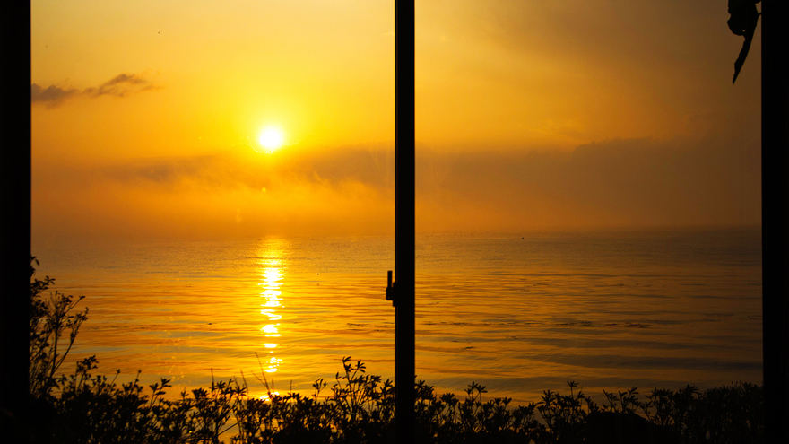 〜平日限定〜【お寿司御膳プラン】「富山湾鮨」おためし7貫＋地元の食材をつかった少量厳選メニュー