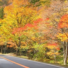 せせらぎ紅葉