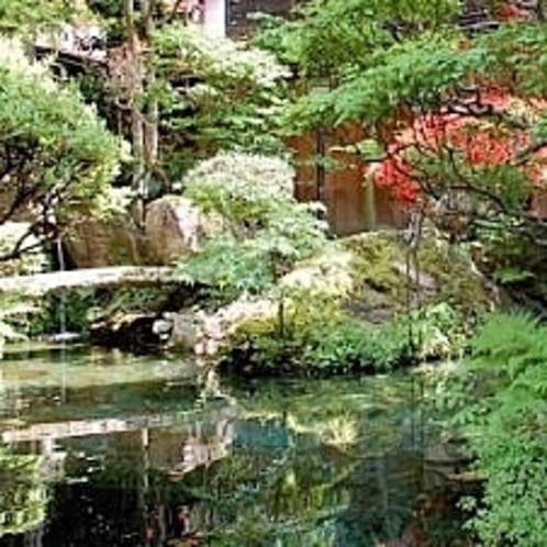 新緑が映る日本庭園