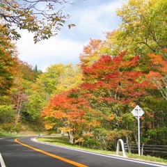 せせらぎ街道紅葉