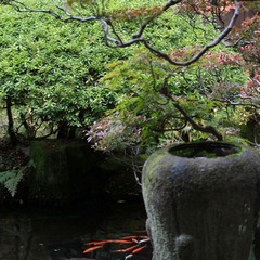 広間より庭