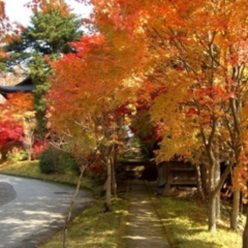 天照寺紅葉