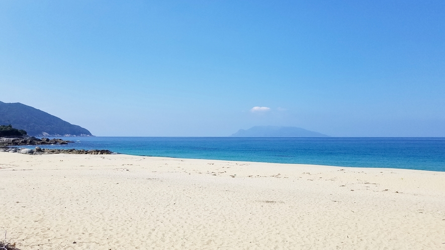 *【観光スポット】ウミガメの産地！永田いなか浜（車で約25分）