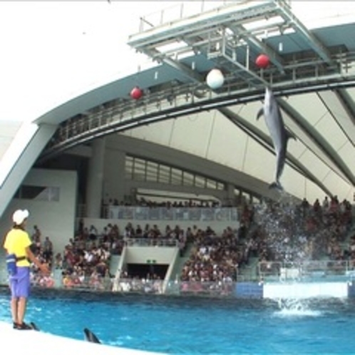 マリンワールド海の中道