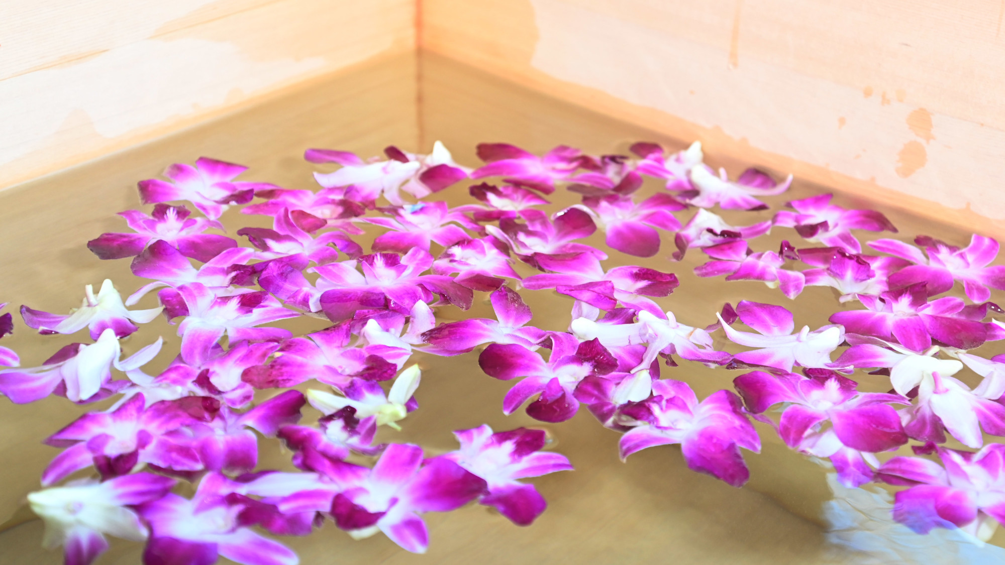 【１室限定／檜風呂】檜香る専用露天風呂とお部屋食を愉しむ特別な客室。自然に抱かれ心ほどける至福の滞在