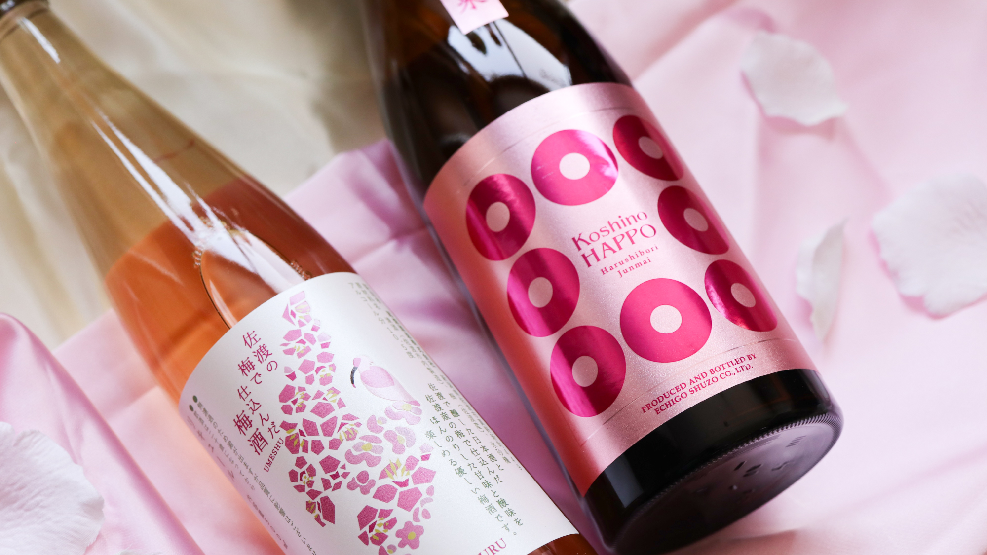 【3/23～6/30越後地酒フェア開催】春限定酒・果実酒をご用意しております♪