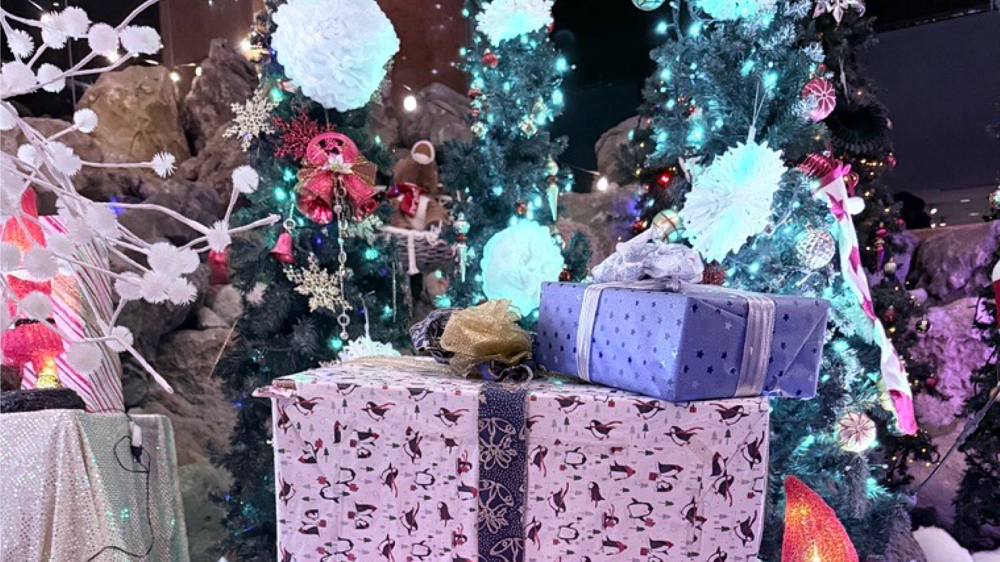 【クリスマスフェスタ】館内イルミネーション