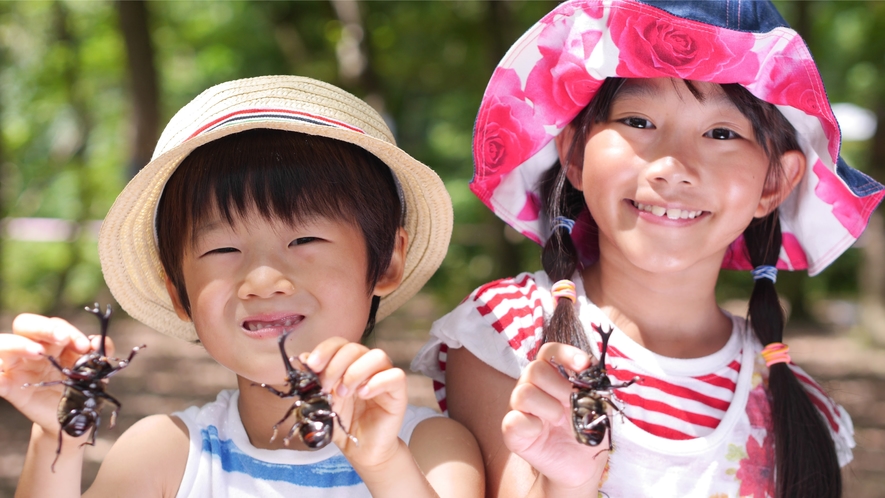 【夏イベント・かぶと虫わくわくランド】かぶと虫の森で実際にかぶと虫を採集いたします