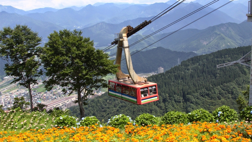【周辺観光】湯沢高原高山植物園「アルプの里」