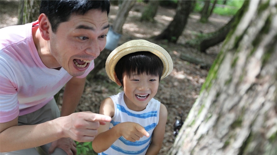 【夏イベント・かぶと虫わくわくランド】ホテル周辺のかぶと虫の森へご案内！