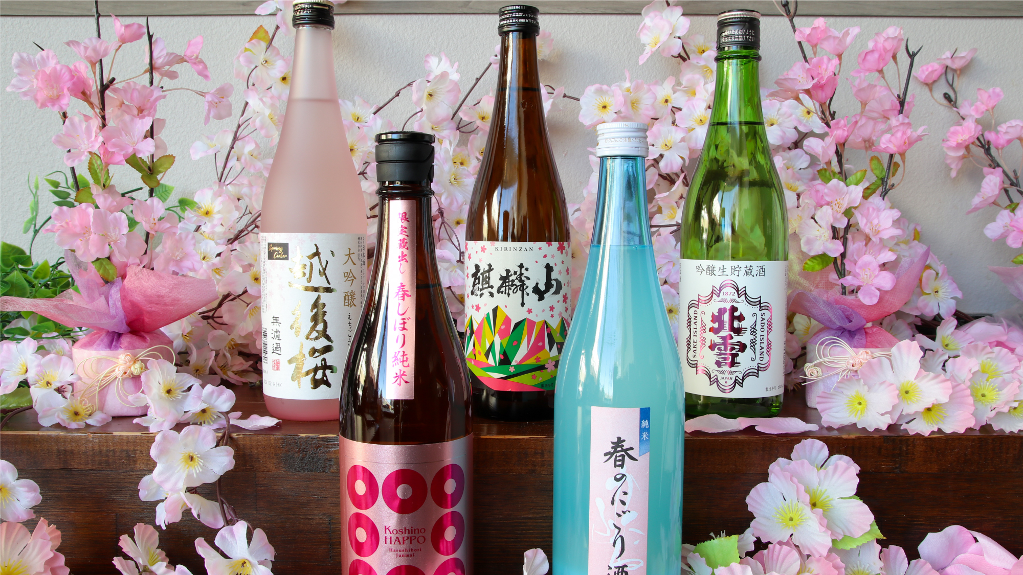 【3/20～6/30春爛漫 新潟 日本酒巡り開催（予定）】春ならではの銘柄を十種以上ご用意♪