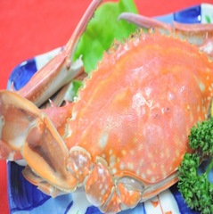 ぎっしり身の詰まったワタリガニ