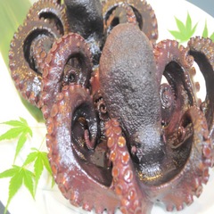蛸の柔らか姿煮