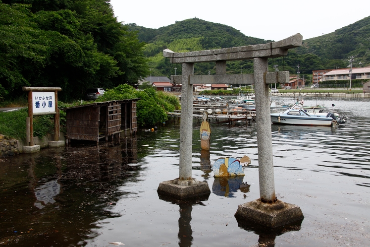 由良姫神社は鳥居が海中に立ち、その入江にイカの大群が押し寄せることでも知られています。