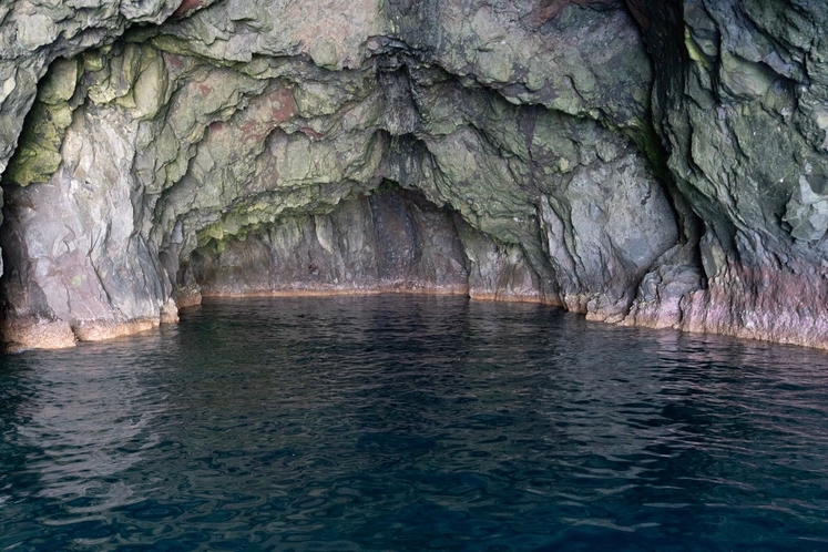 観光船で巡る西ノ島の奇岩たちをを見ると、まるで別世界にいるような気分に。