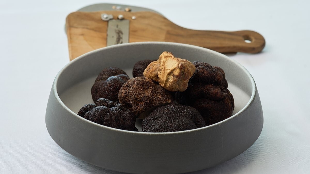 お食事評価★５獲得 素材の旨みを活かすシェフの技と感性で仕上げる、贅沢イタリアンを湯河原温泉で堪能