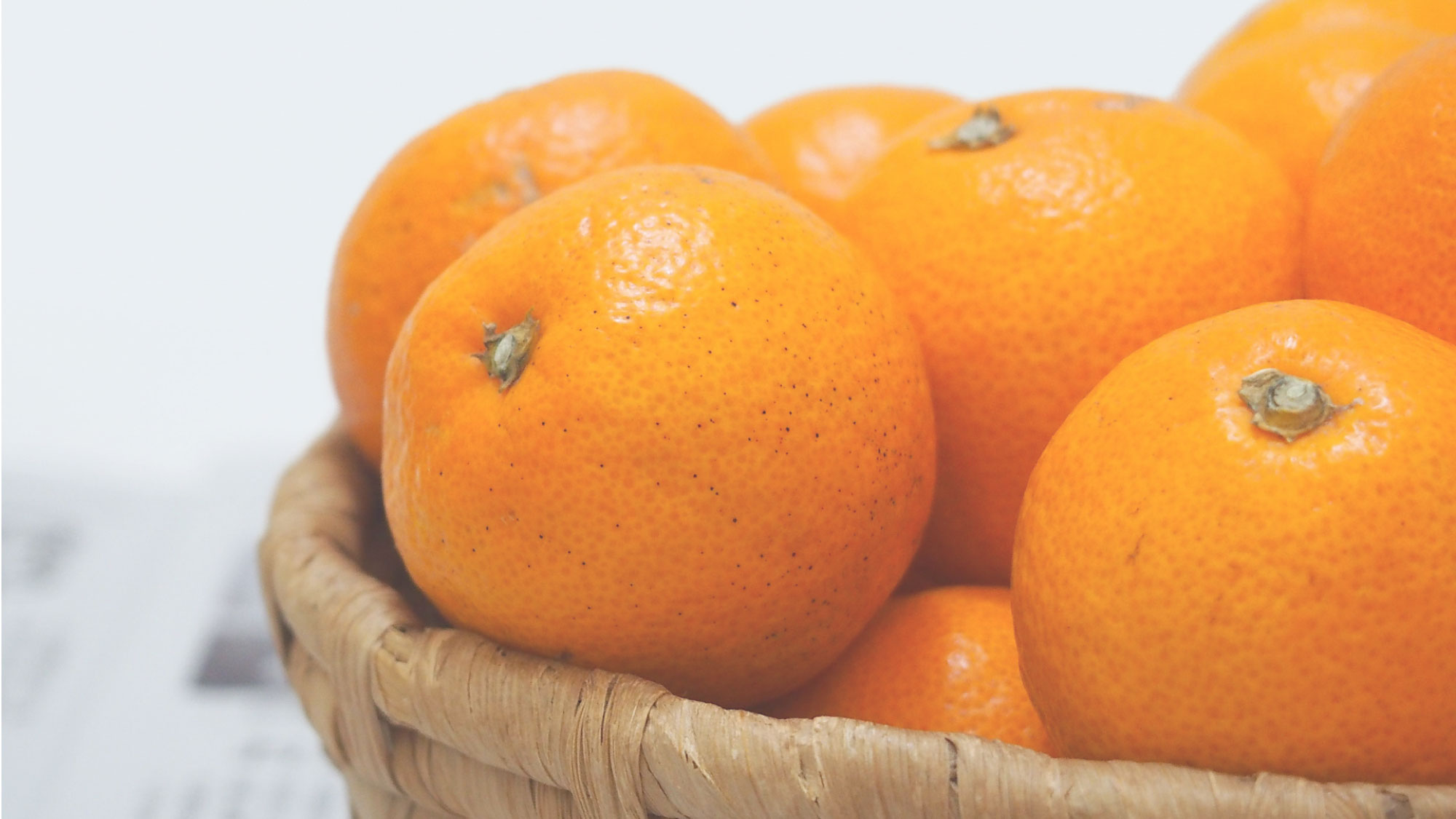 【特産品】支配人イチオシ！天田みかん