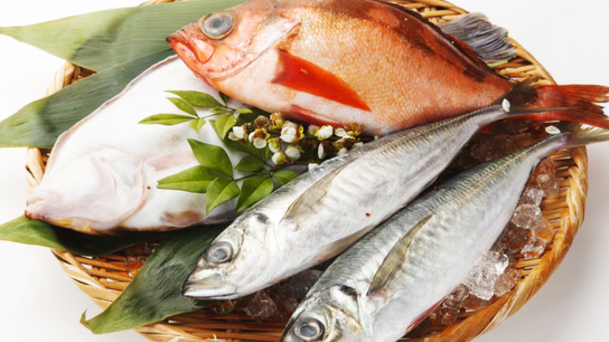 【特産品】海と川の幸