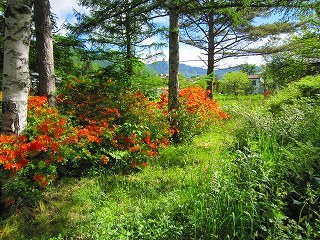 初夏風景