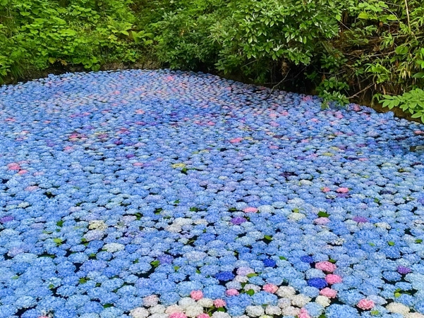 ５月からは別格の東北へ♪キーワードは「新緑」「のんびり」「芭蕉」「温泉」「お天気良く」