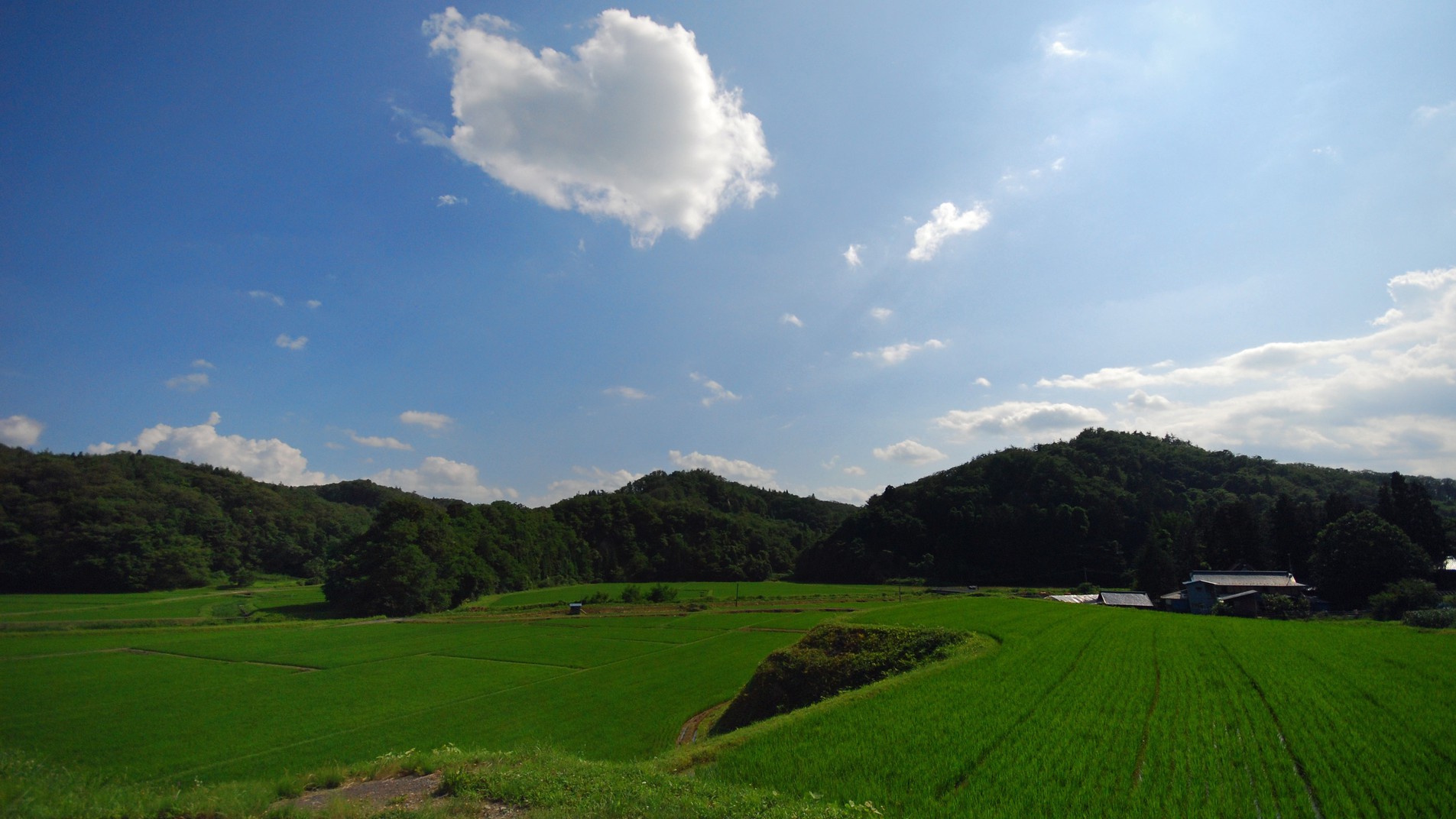 宿環境＿初夏