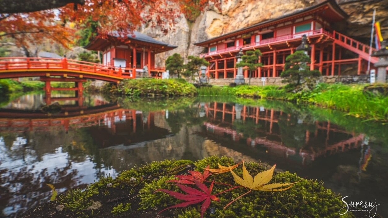 中尊寺紅葉ライトアップ「紅葉銀河」　温泉宿まで１０分。美味しいシャブシャブ付