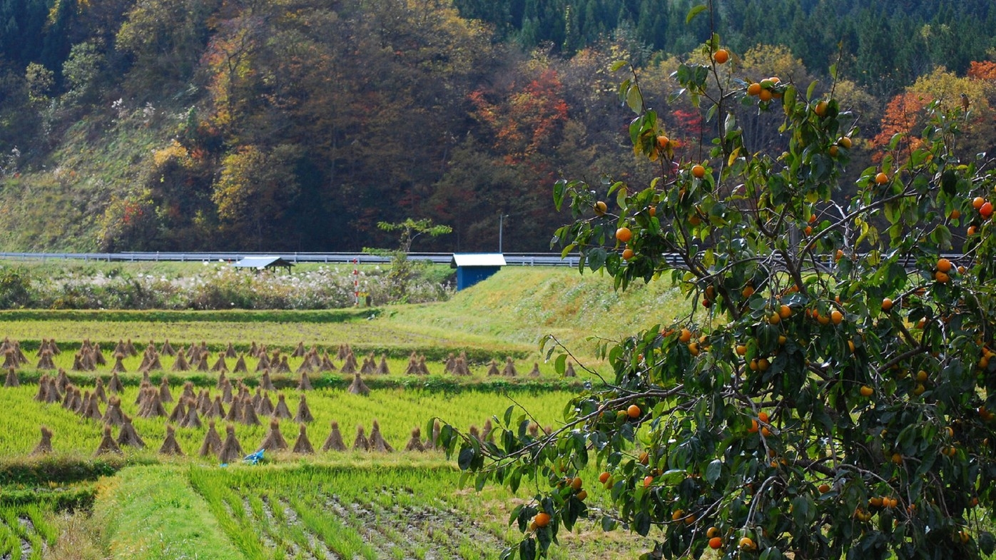 【8％OFF】【楽天スーパーSALE】　★ポイント10倍★当館人気【お部屋食】手打ち蕎麦