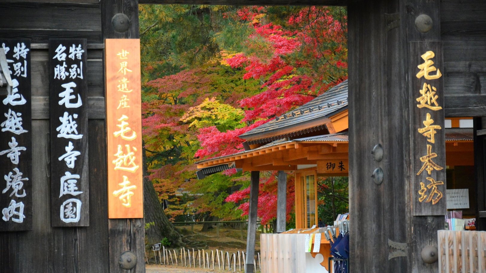 中尊寺紅葉ライトアップ「紅葉銀河」　温泉宿まで１０分。美味しいシャブシャブ付