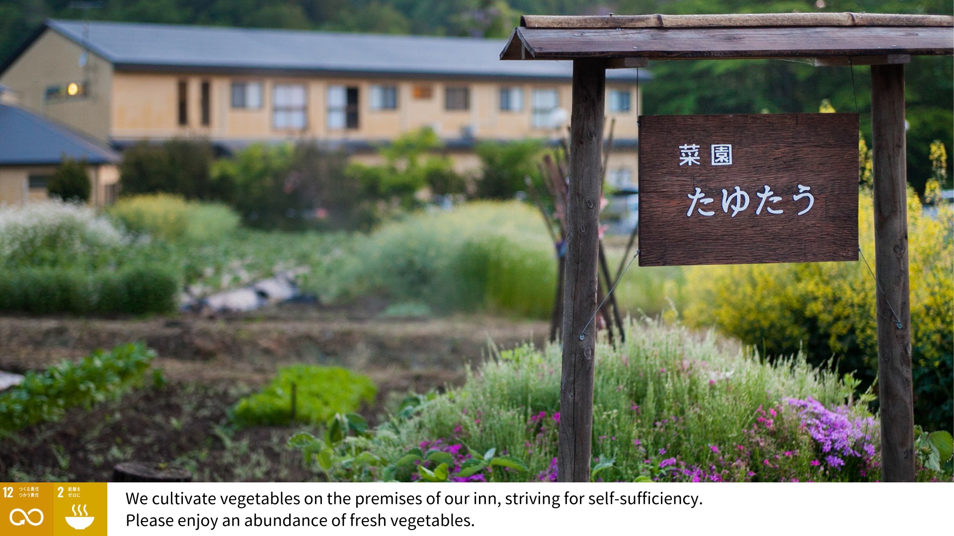 野菜は敷地内で自給自足を行なっている。収穫体験も可能