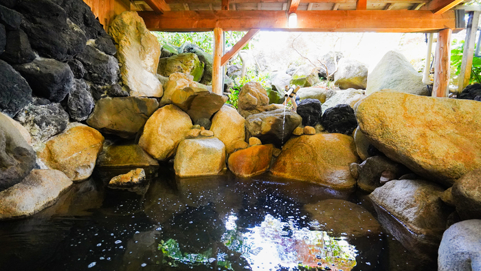 【素泊】新潟市内より車で30分◇お仕事の後は温泉でリフレッシュ！