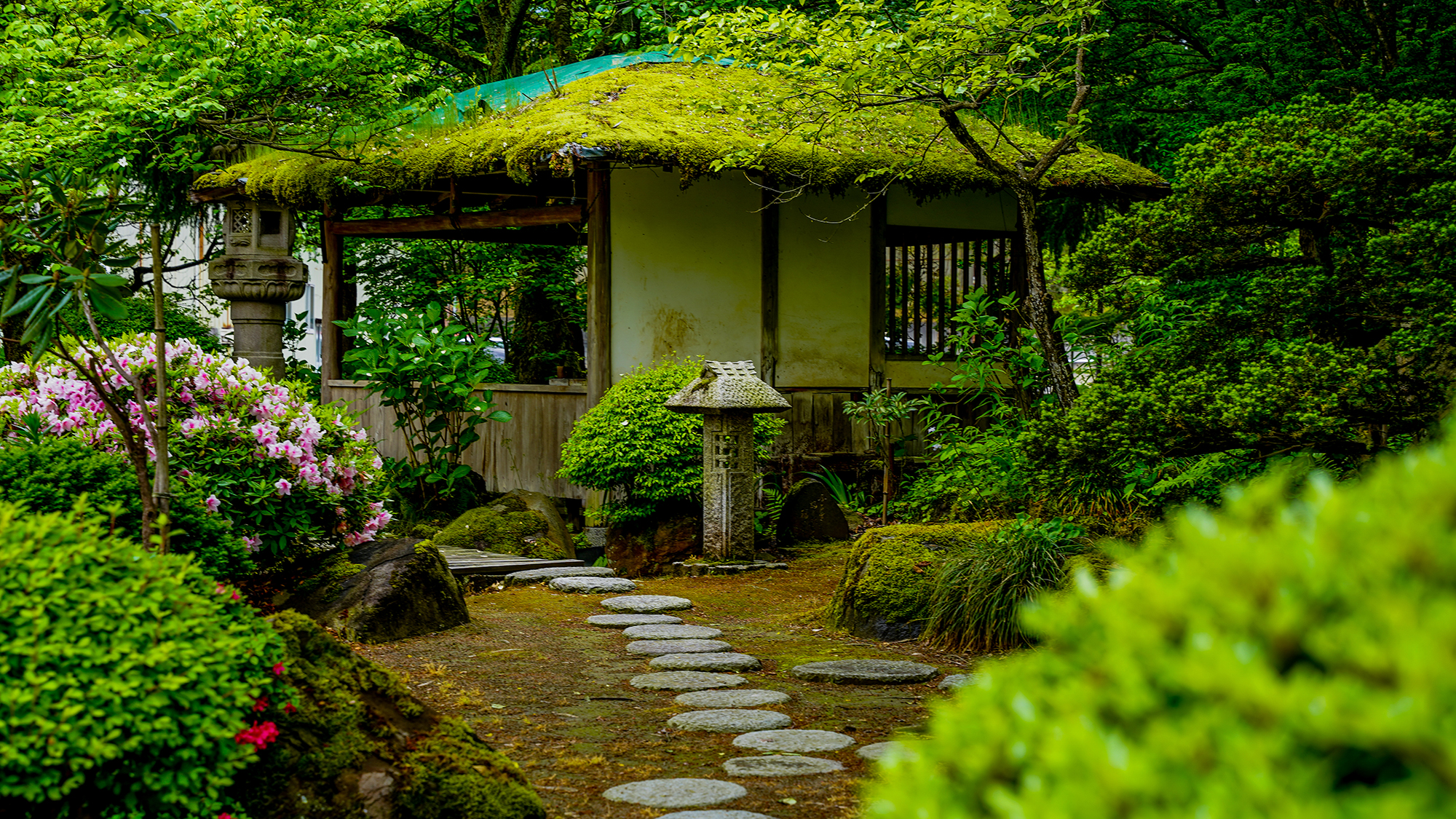〈風鈴屋イメージ〉庭園