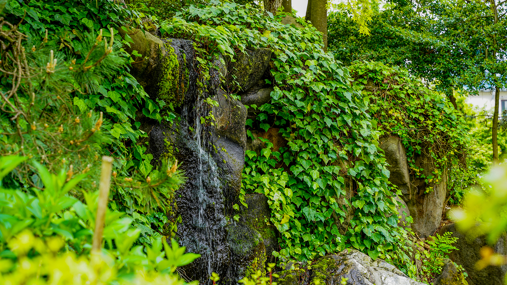 〈風鈴屋イメージ〉庭園