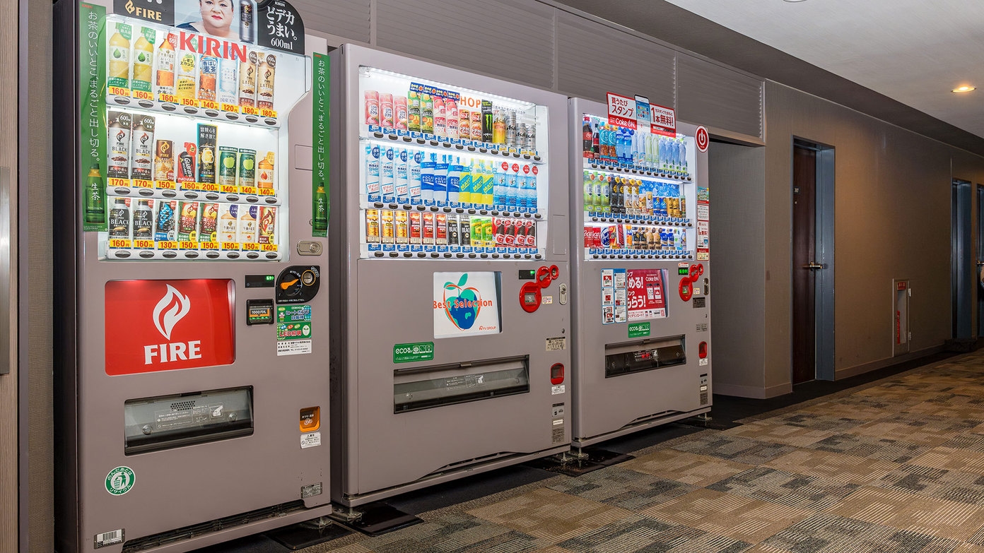 【早期割90】室蘭駅近くの宿＜早期割90日前予約＞（素泊り）