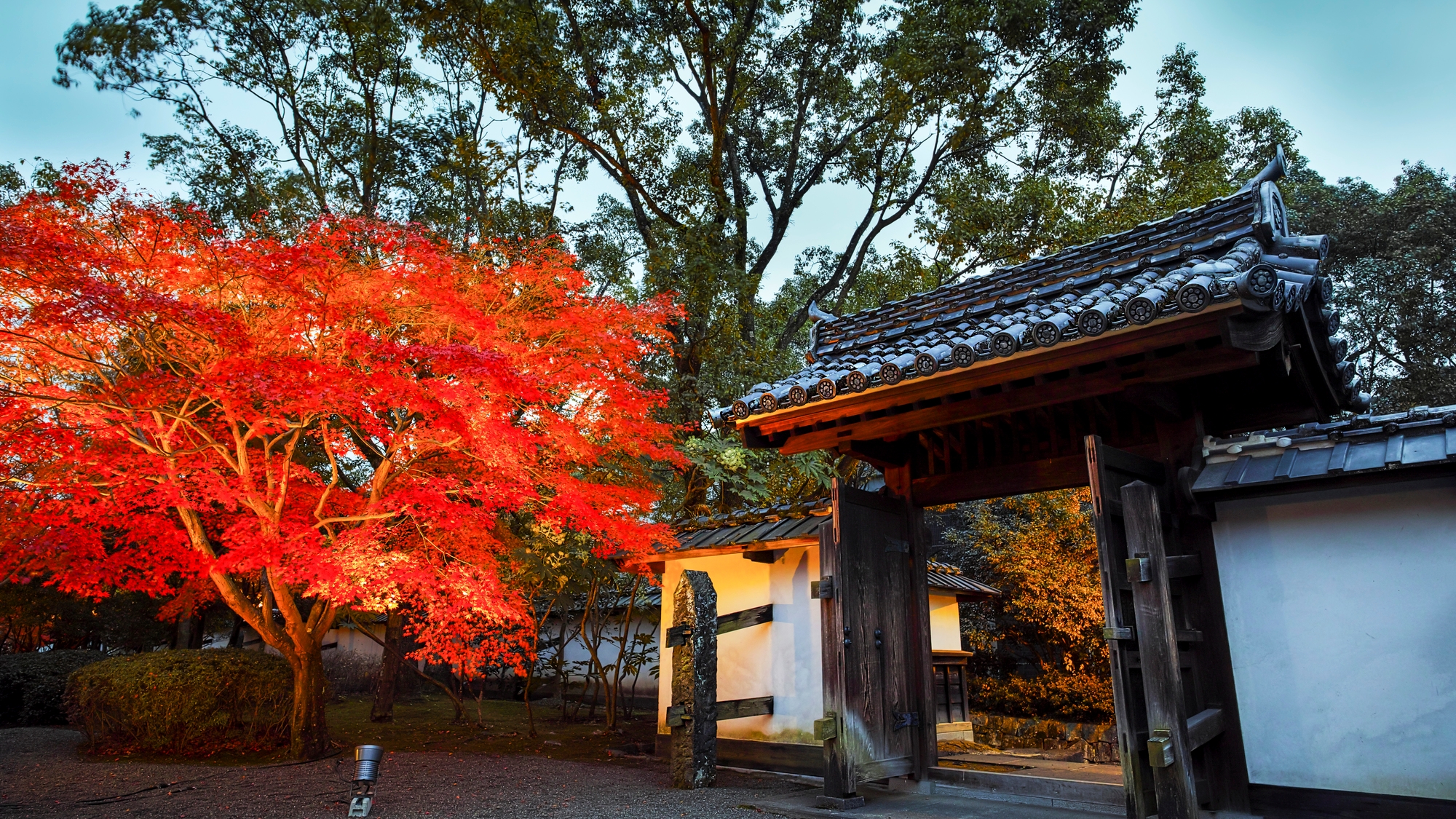 光と影。熊本の秋は、美しい。