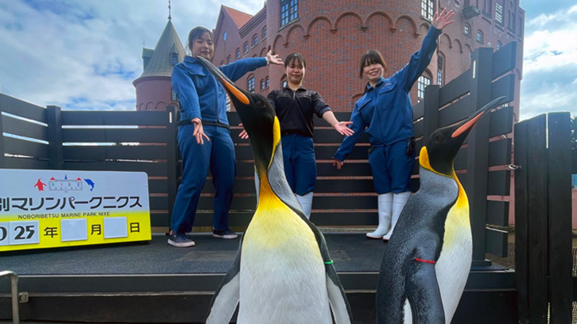 【先行予約は石水亭だけ！】＜バイキング＞1日2組限定〜登別マリンパークでキングペンギンと記念撮影！