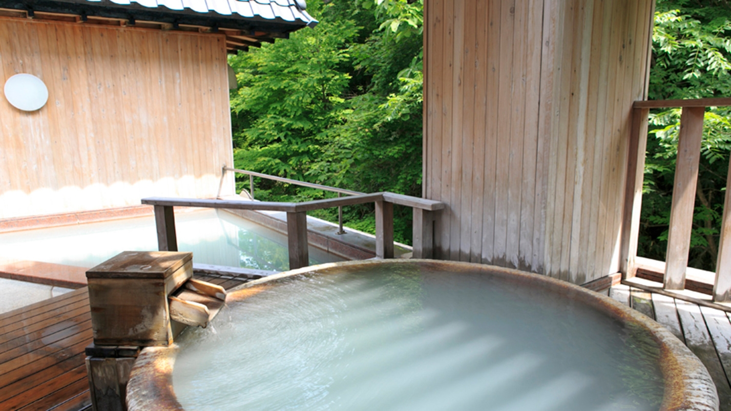 【先行予約は石水亭だけ！】＜バイキング＞1日2組限定〜登別マリンパークでキングペンギンと記念撮影！