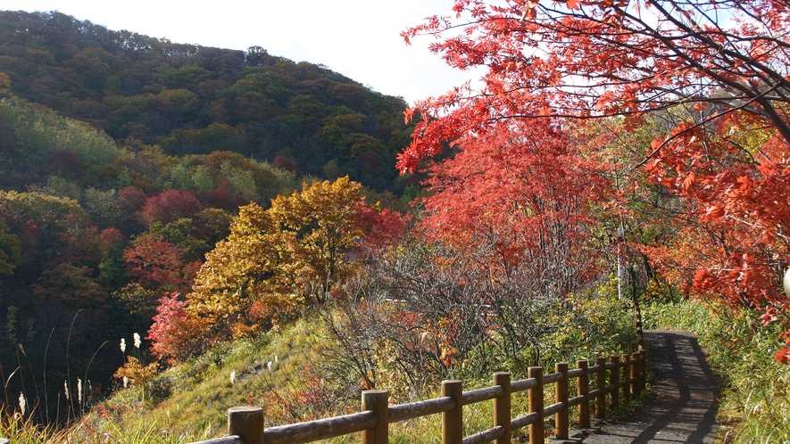 【地獄谷の遊歩道】紅葉に染まる秋の地獄谷。情緒ある景色を眺め、安らぎのひとときを。