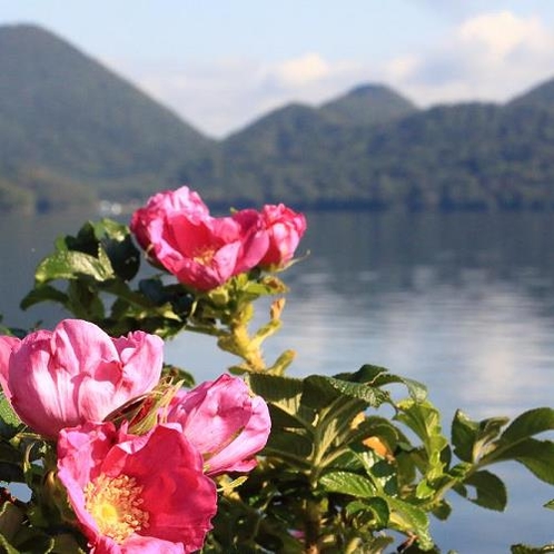 ◆洞爺湖は豊かな自然を有する観光地です。