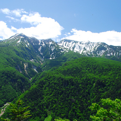 【黒岳】緑豊かな夏の黒岳