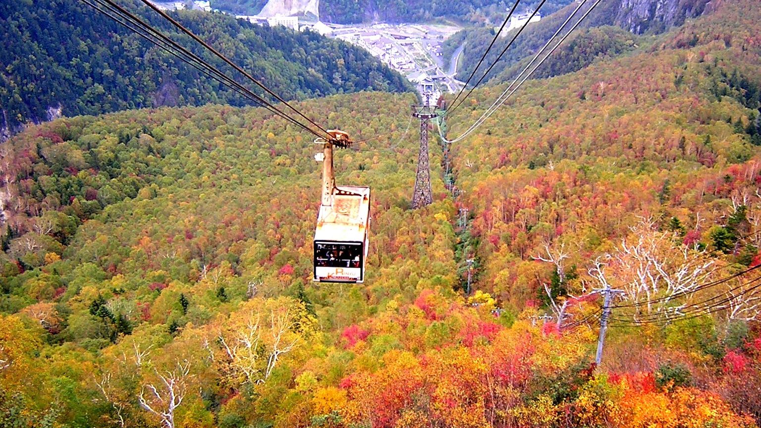 【黒岳ロープウェイ（秋）】ロープウエイに乗って、赤や黄色に彩られた層雲峡を眺めよう