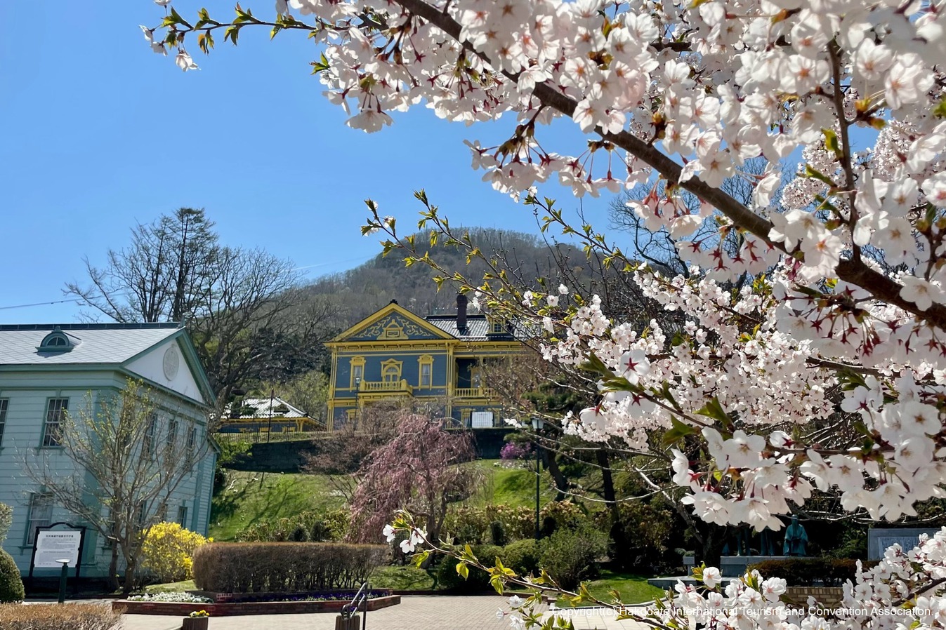 【4/29〜5/1春SALE】GW直前スペシャル価格！さらにラッキーピエロ食事券1，000円分付♪