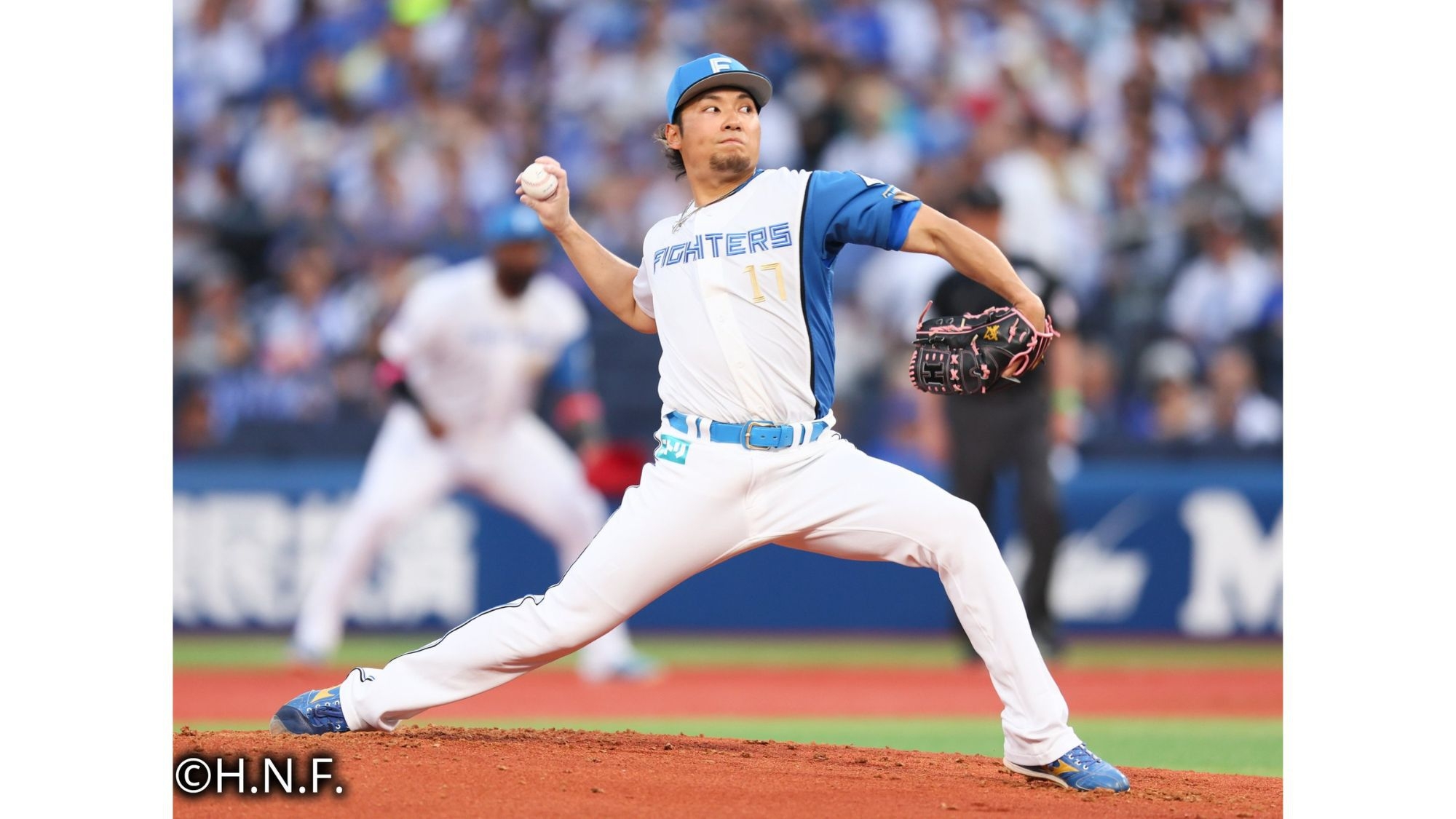 【どうみん限定】感動をありがとう！北海道日本ハムファイターズ特別プラン／飲み放題60分付バイキング