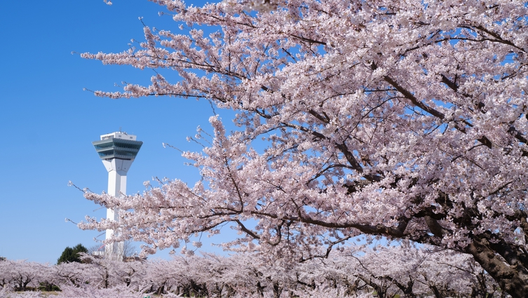 【啄木亭大感謝セール】最大15％OFF！道南お花見へGO♪紅ズワイガニ付夕食バイキング／3〜5月限定